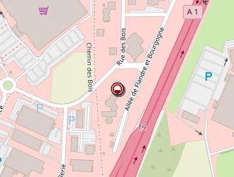 Carte de But International à Seclin