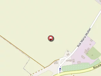 Carte de Dezitter Mario à Templemars