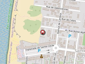 Carte de Vival à Camiers