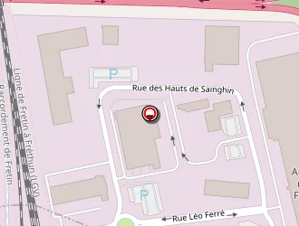 Carte de Dhl Freight à Lesquin