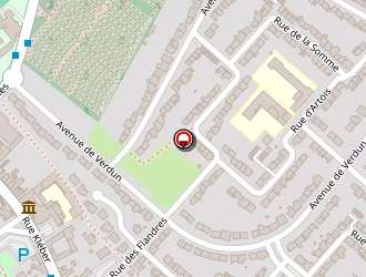 Carte de Villettaz Pascal à Faches-thumesnil