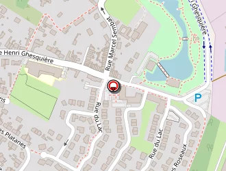 Carte de Bapaume Alexandre à Lesquin