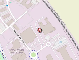 Carte de Dsv Road à Lesquin