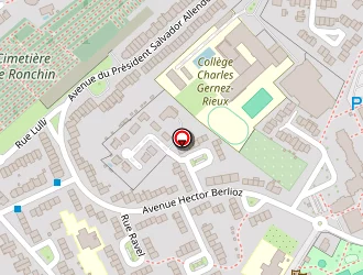 Carte de Visart Luc à Ronchin