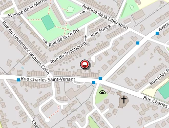 Carte de Handicap Expert Consult à Ronchin