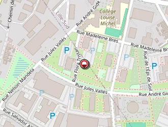 Carte de Lso Medical à Loos