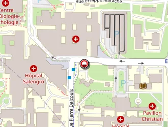 Carte de Gueorgieva Iva à Lille