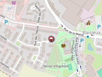 Carte de Seurat Morgane à Baisieux