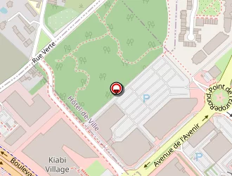 Carte de Ozan à Lezennes