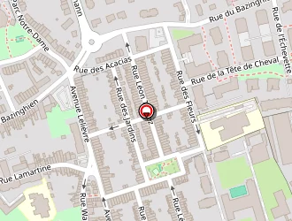 Carte de Dewisme Céline à Loos