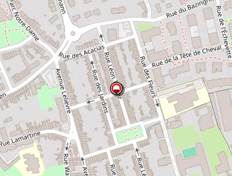 Carte de C.c.a.s (centre Communal Action Sociale) à Loos