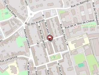 Carte de Carrefour City à Loos