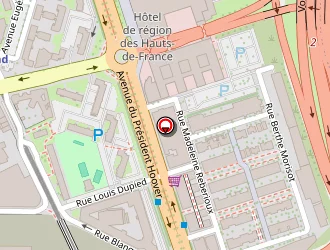 Carte de Bcd Travel à Lille