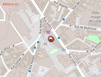 Carte de Paysage Vosgien à Bruyères