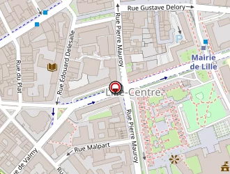 Carte de Gemo Interim 10 à Lille