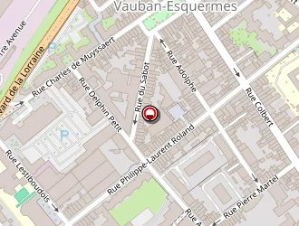 Carte de Leader Informatique à Lille