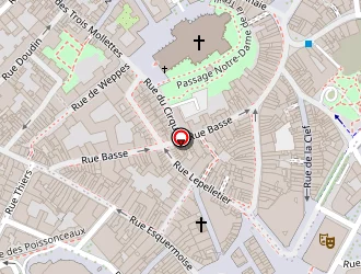 Carte de Braderie De Lille à Lille