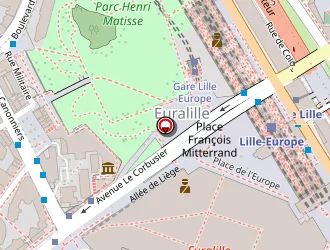 Carte de Subway à Lille