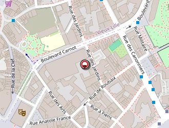 Carte de Ecole Salengro à Hellemmes