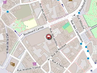 Carte de Duvinage Daniel à Lille