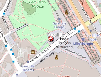 Carte de Zara International à Lille