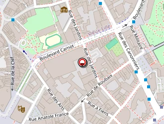 Carte de Arashi à Lille