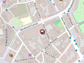 Carte de Auto Ecole Pratique (aep) à Lille