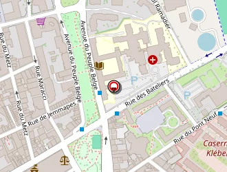 Carte de Lenain Caroline à Lille