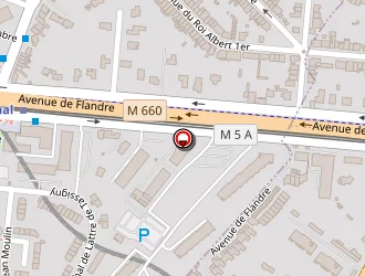 Carte de Matumona Koko Mamik à Wasquehal