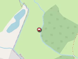 Carte de Cornet David à Wittes