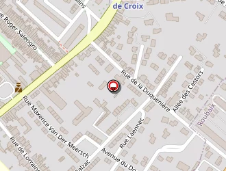 Carte de Meys Thomas à Croix