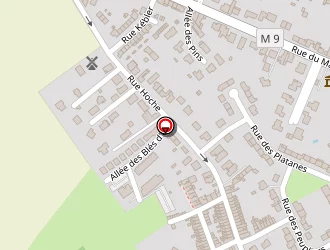 Carte de Desmulier Fanny à Leers