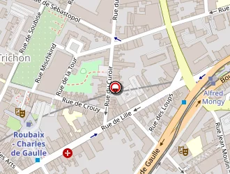 Carte de Jonas Patrick à Roubaix