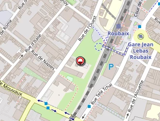 Carte de Rodrigues Electricité à Roubaix