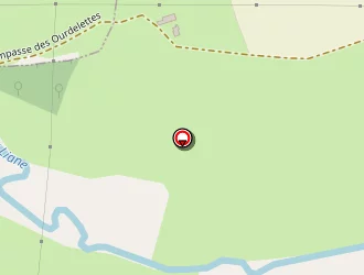 Carte de Chochoy Bruno à Selles