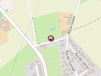 Carte de Terrier Frédéric à Bailleul