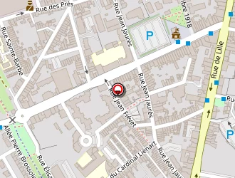 Carte de Demenagements Parmentier à Halluin