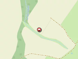 Carte de De Quicllacq Emmanuel à Cassel