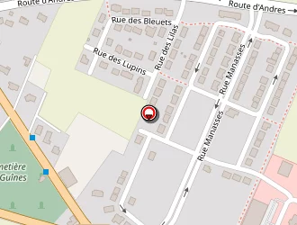 Carte de Rey Estelle à Guînes