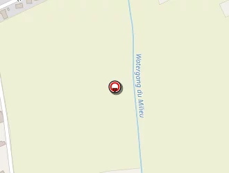 Carte de Tp Joel Robe à Saint-folquin