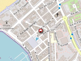 Carte de G.g.v.l.s (gravelines-grand Fort Philippe Voile Légère Sportive) à Gravelines