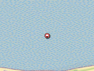 Carte de La Chlorophylle à Dunkerque